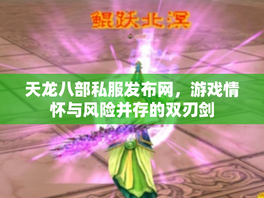天龙八部私服发布网，游戏情怀与风险并存的双刃剑
