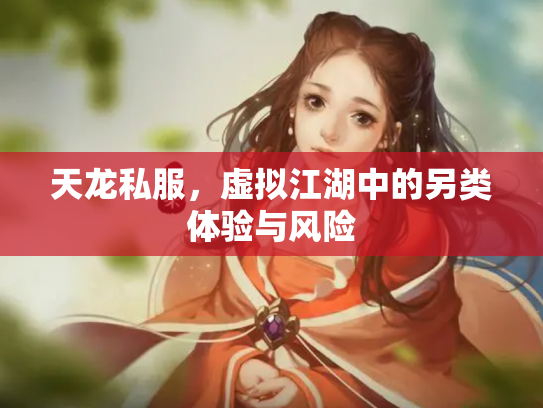 天龙私服，虚拟江湖中的另类体验与风险