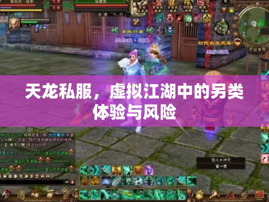 天龙私服，虚拟江湖中的另类体验与风险