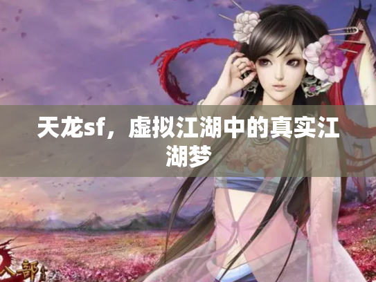 天龙sf，虚拟江湖中的真实江湖梦