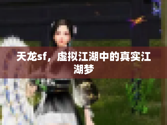 天龙sf，虚拟江湖中的真实江湖梦