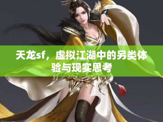 天龙sf，虚拟江湖中的另类体验与现实思考