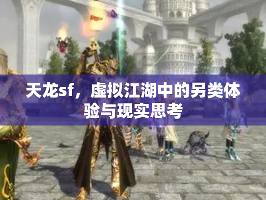 天龙sf，虚拟江湖中的另类体验与现实思考