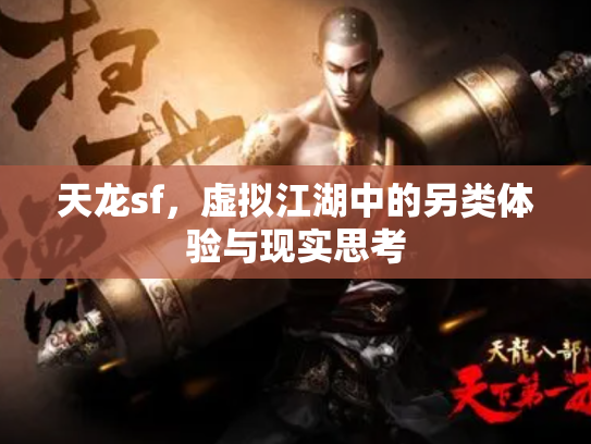 天龙sf，虚拟江湖中的另类体验与现实思考