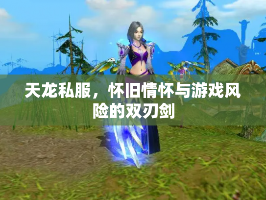 天龙私服，怀旧情怀与游戏风险的双刃剑
