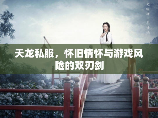 天龙私服，怀旧情怀与游戏风险的双刃剑