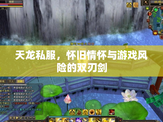 天龙私服，怀旧情怀与游戏风险的双刃剑