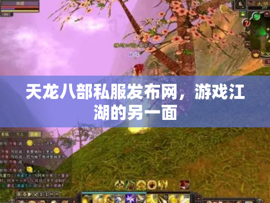 天龙八部私服发布网，游戏江湖的另一面