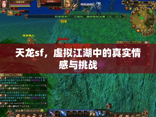 天龙sf，虚拟江湖中的真实情感与挑战