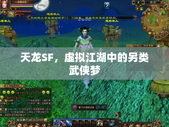 天龙SF，虚拟江湖中的另类武侠梦