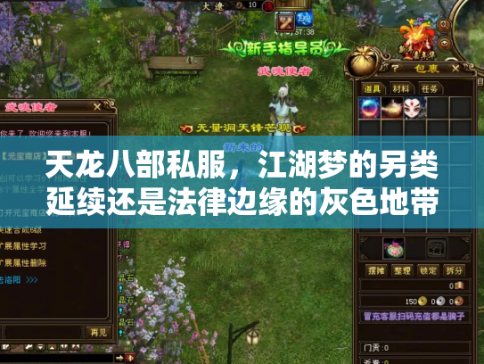 天龙八部私服，江湖梦的另类延续还是法律边缘的灰色地带？