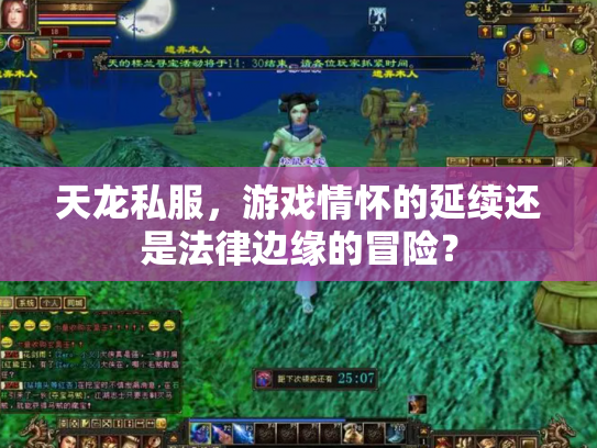 天龙私服，游戏情怀的延续还是法律边缘的冒险？
