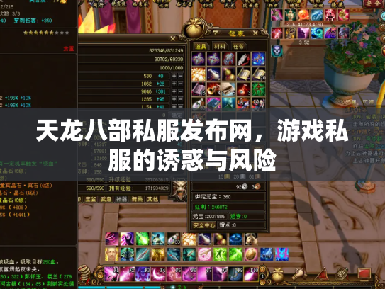 天龙八部私服发布网，游戏私服的诱惑与风险