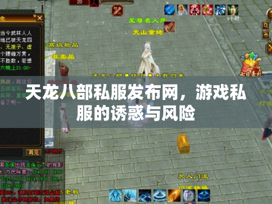 天龙八部私服发布网，游戏私服的诱惑与风险
