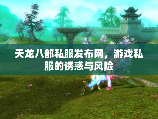 天龙八部私服发布网，游戏私服的诱惑与风险