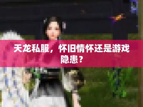 天龙私服，怀旧情怀还是游戏隐患？