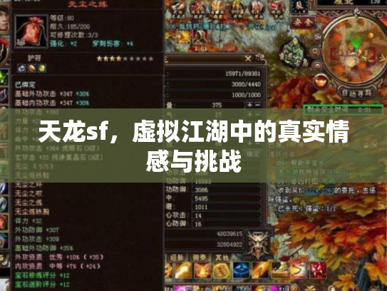 天龙sf，虚拟江湖中的真实情感与挑战