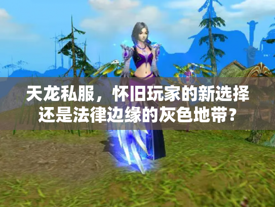 天龙私服，怀旧玩家的新选择还是法律边缘的灰色地带？