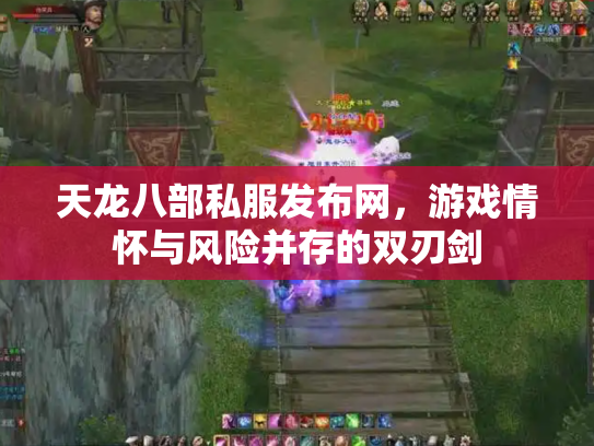 天龙八部私服发布网，游戏情怀与风险并存的双刃剑