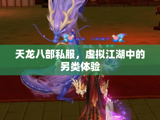天龙八部私服，虚拟江湖中的另类体验