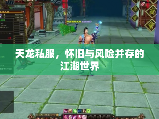 天龙私服，怀旧与风险并存的江湖世界