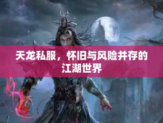 天龙私服，怀旧与风险并存的江湖世界
