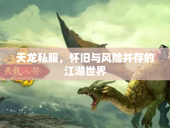 天龙私服，怀旧与风险并存的江湖世界