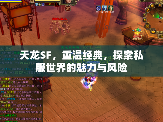 天龙SF，重温经典，探索私服世界的魅力与风险