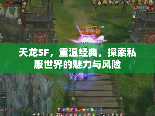 天龙SF，重温经典，探索私服世界的魅力与风险