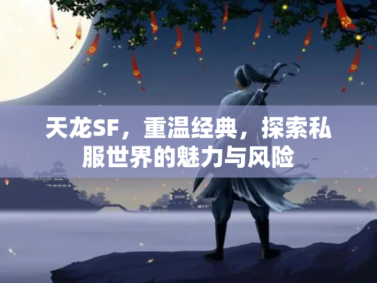 天龙SF，重温经典，探索私服世界的魅力与风险