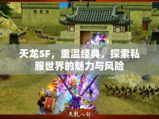 天龙SF，重温经典，探索私服世界的魅力与风险