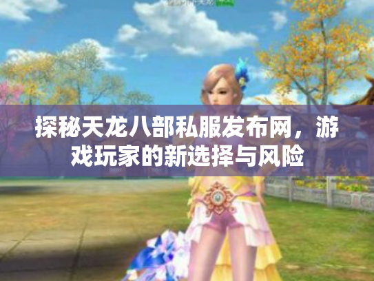 探秘天龙八部私服发布网，游戏玩家的新选择与风险