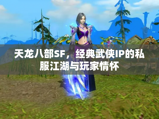 天龙八部SF，经典武侠IP的私服江湖与玩家情怀