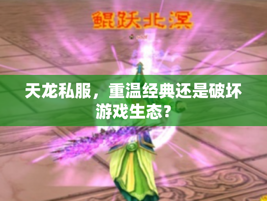 天龙私服，重温经典还是破坏游戏生态？