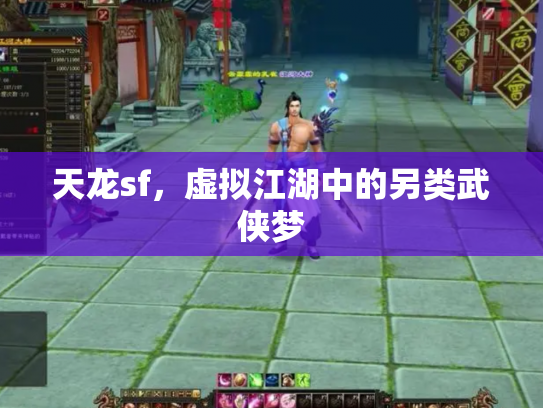 天龙sf，虚拟江湖中的另类武侠梦