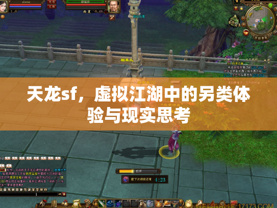 天龙sf，虚拟江湖中的另类体验与现实思考