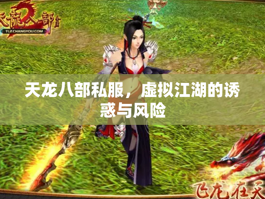 天龙八部私服，虚拟江湖的诱惑与风险