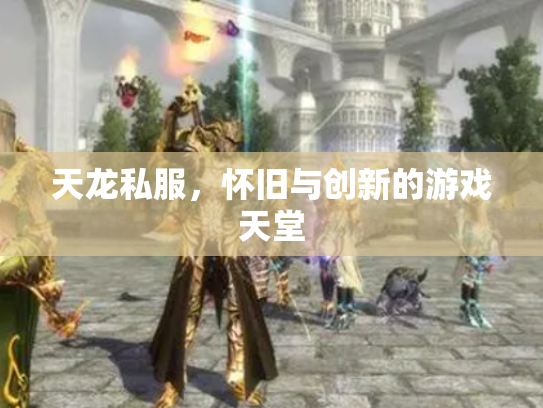 天龙私服，怀旧与创新的游戏天堂