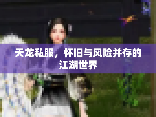 天龙私服，怀旧与风险并存的江湖世界