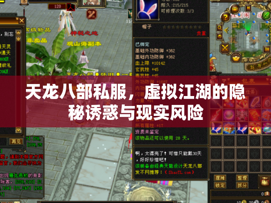 天龙八部私服，虚拟江湖的隐秘诱惑与现实风险