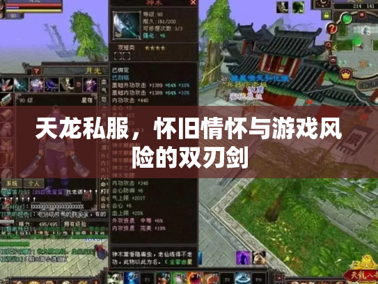天龙私服，怀旧情怀与游戏风险的双刃剑