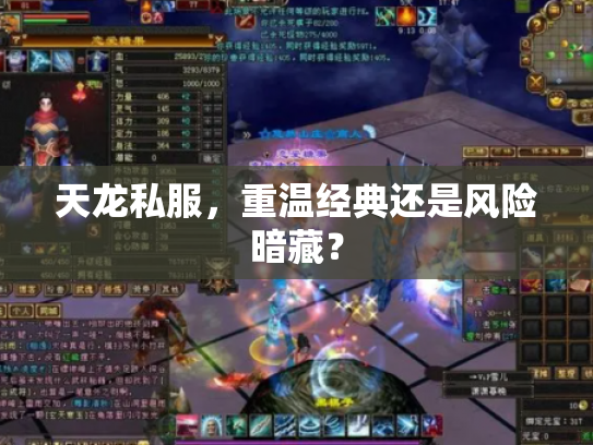 天龙私服，重温经典还是风险暗藏？