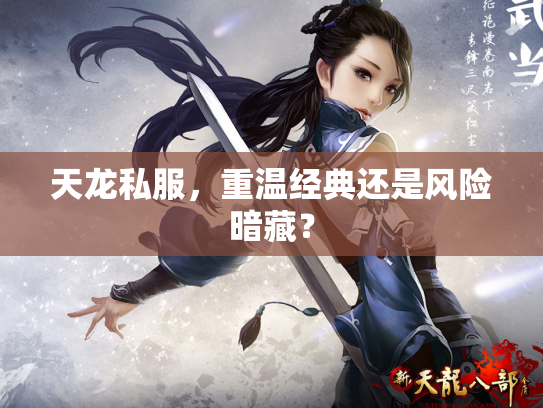 天龙私服，重温经典还是风险暗藏？