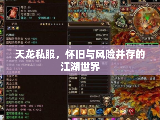 天龙私服，怀旧与风险并存的江湖世界