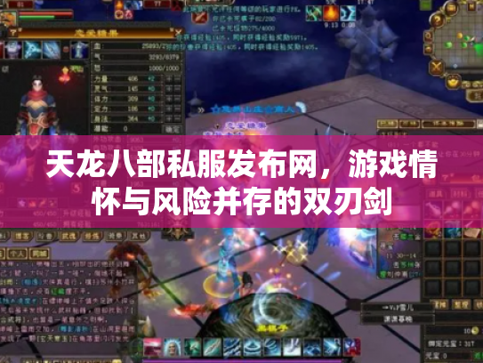天龙八部私服发布网，游戏情怀与风险并存的双刃剑