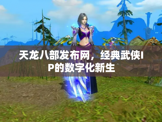 天龙八部发布网，经典武侠IP的数字化新生