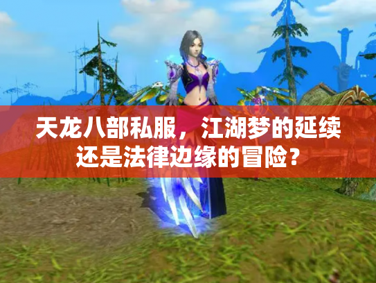 天龙八部私服，江湖梦的延续还是法律边缘的冒险？