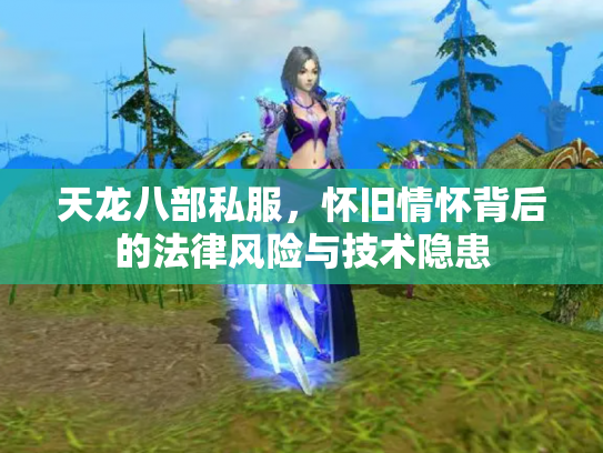 天龙八部私服，怀旧情怀背后的法律风险与技术隐患