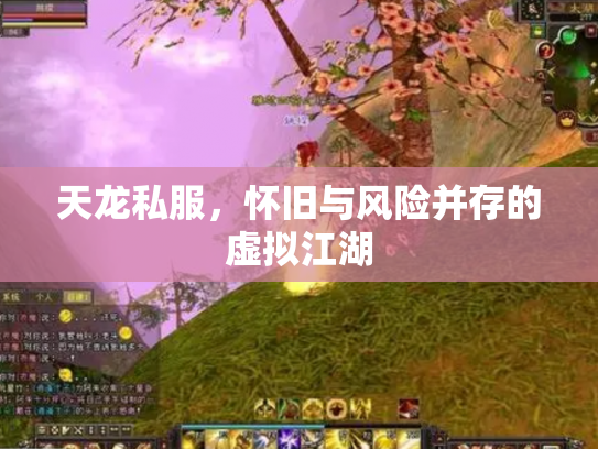 天龙私服，怀旧与风险并存的虚拟江湖