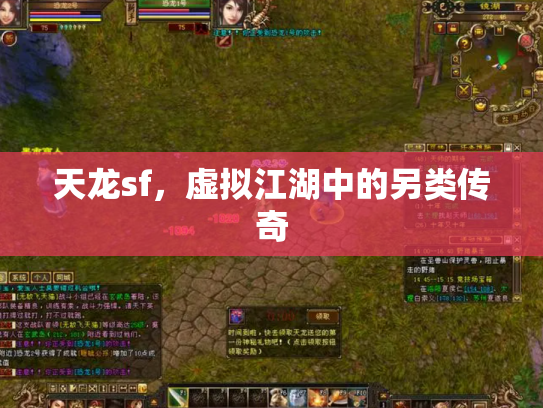 天龙sf，虚拟江湖中的另类传奇